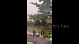 Taiwan: Typhoon Koinu Brings Highest-Ever Wind Speeds, Causing Power Outage And Damage 4