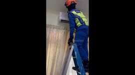 Six tree snakes caught inside air-con unit in Malaysia