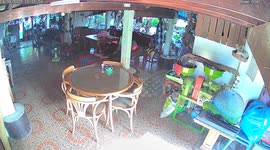 Snake drops from mat as mother cleans home