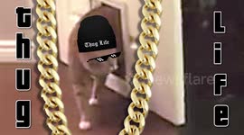 Because he can cat - Thug life