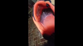 This is why you should always check your shoes for spiders if you live in Australia
