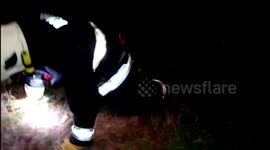 Rescate de perro en barranco