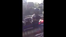 Biker dog enjoying London to Brighton rally on a motorbike