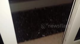 Hailstorm in Abu Dhabi
