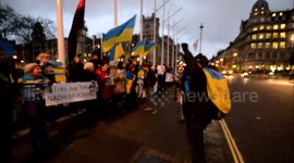 Free Nadia Servchenko , Ukraine demonstration London