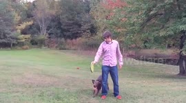 Slow Motion Dog High Jump