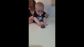 Toddler tries to eat toad before adults step in