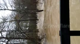 DUPLICATE Woodland area completely flooded in Louisiana, USA