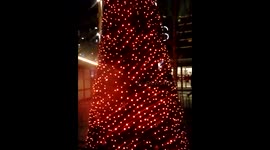 Christmas Tree Bright Light Show