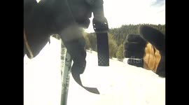 GoPro Snowboarder knocks himself out