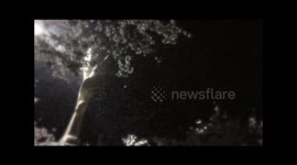 Sakura falling with snow in Wuhan University