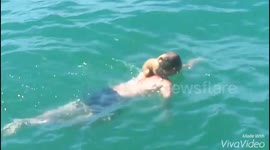Little dog hitches a ride on owner