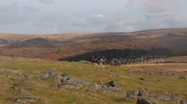 Horse riding on dartmoor national park, Devon, Uk