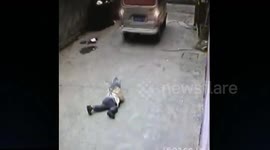 Four-year-old boy somehow survives being run over
