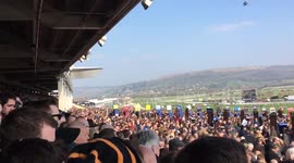 Cheltenham Festival: Day 3 GV's of crowds and stands
