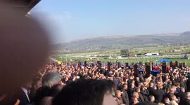 Cheltenham Festival: Crowds cheering