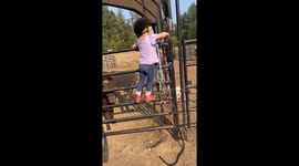 Little girl learns to halter a pony from her mother *Heartwarming Video*