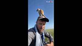 Meerkats call dibs to the wildlife photographer trying to capture their pictures