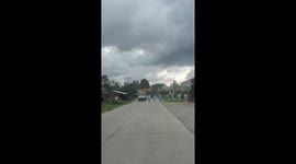 Bananas crossing! Driver waits while bunches of fruit are carried across road