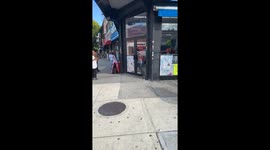 For or Opossum? Monster rodent strolls in Brooklyn