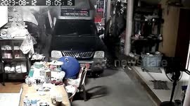 Snake charges at pet dog then the owner inside house