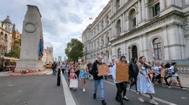 American XL Bully protesters march along Whitehall in Central London