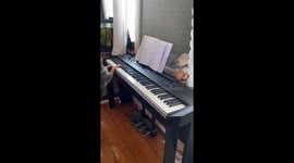 Pup Is A Piano Prodigy