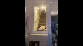 Fun guy attempts to go down the stairs on a sledge *Hilarious Video*