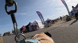 Pug's eye view: Pooch steals show with GoPro footage of UK dog festival