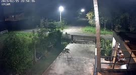 Wild elephant strolls through village for a late night drink of water
