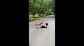 Pet dogs ambush student while she poses for university graduation pictures