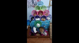 Pet cats sleep in baskets arranged like a pyramid