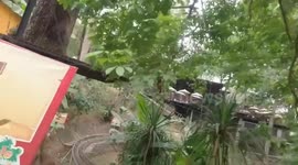 This jungle coaster ride through the Thai mountains looks awesome