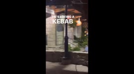 Moment bear sneaks up behind man to eye up his KEBAB