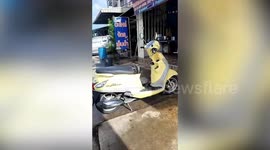 Massive monitor lizard raids store before being chased out by workers