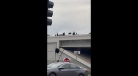 Officer Grabs Dog in Precarious Position