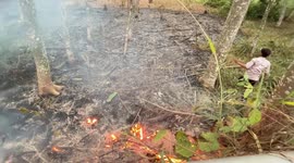 City Forest Fire Caused by Dry Season in South Tangerang, Indonesia