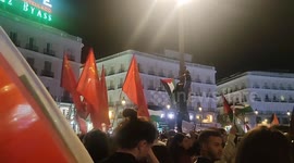 Hundreds attend pro-Palestine rally in Madrid