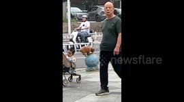Dog delights passersby by hopping from stone to stone on pavement in China