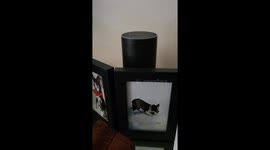 Amazon Alexa shares controversial claims about 2020 presidential election fraud