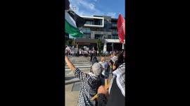 Pro-Palestine protesters rally in Washington amid Gaza attacks
