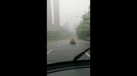 Water explodes from manhole cover like a giant fountain in China