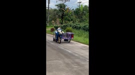 Hells Kitties! Two pet cats ride motorcycle by themselves