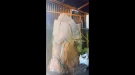 Family lives with huge termite hill inside their house