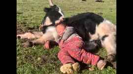 Heartwarming moment boy snuggles with cow on grassland