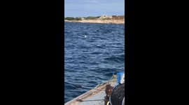 Woman left horrified spotting 'floating head' in ocean but it's not what you think