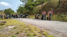 Wildlife officers release rescued vultures into wilderness