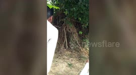 Officials remove snake from tree in Indian village