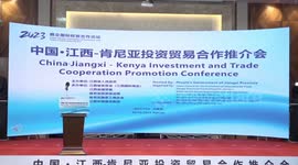 China's Jiangxi holds trade, investment promotion forum in Kenya