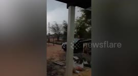 Storm winds knock down tree onto parked car
